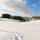 "Spuren im Schnee"