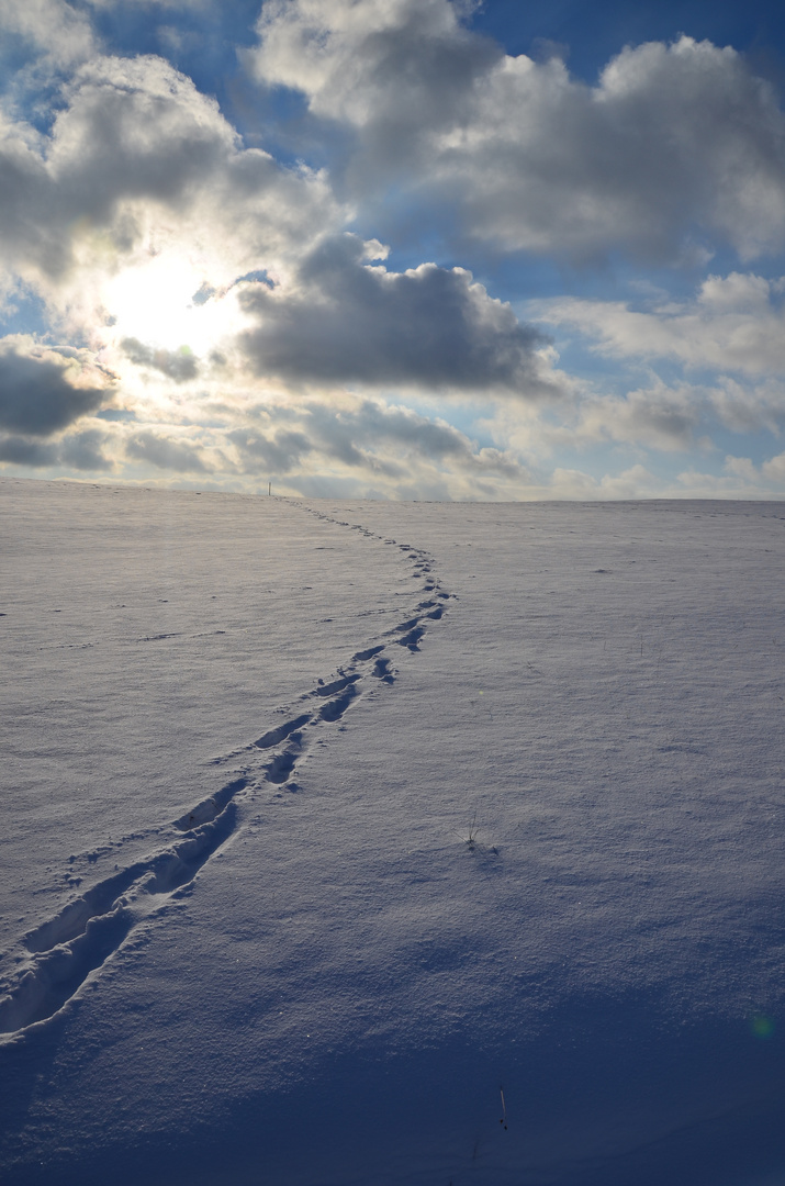 Spuren im Schnee