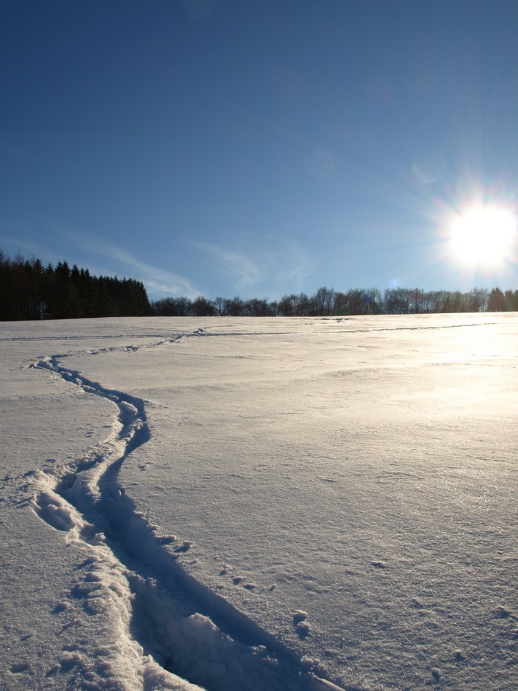 Spuren im Schnee