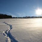 Spuren im Schnee