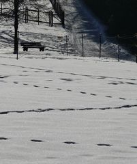 Spuren im Schnee