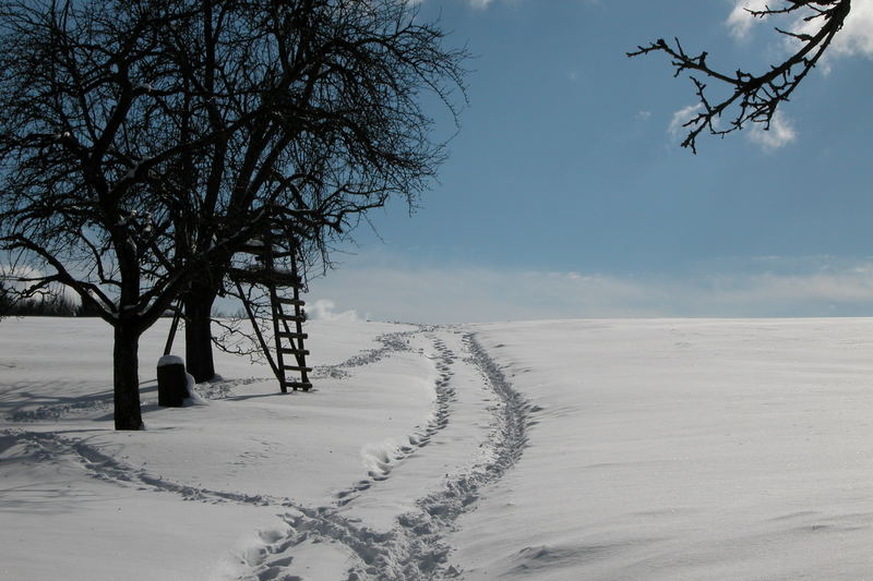 Spuren im Schnee