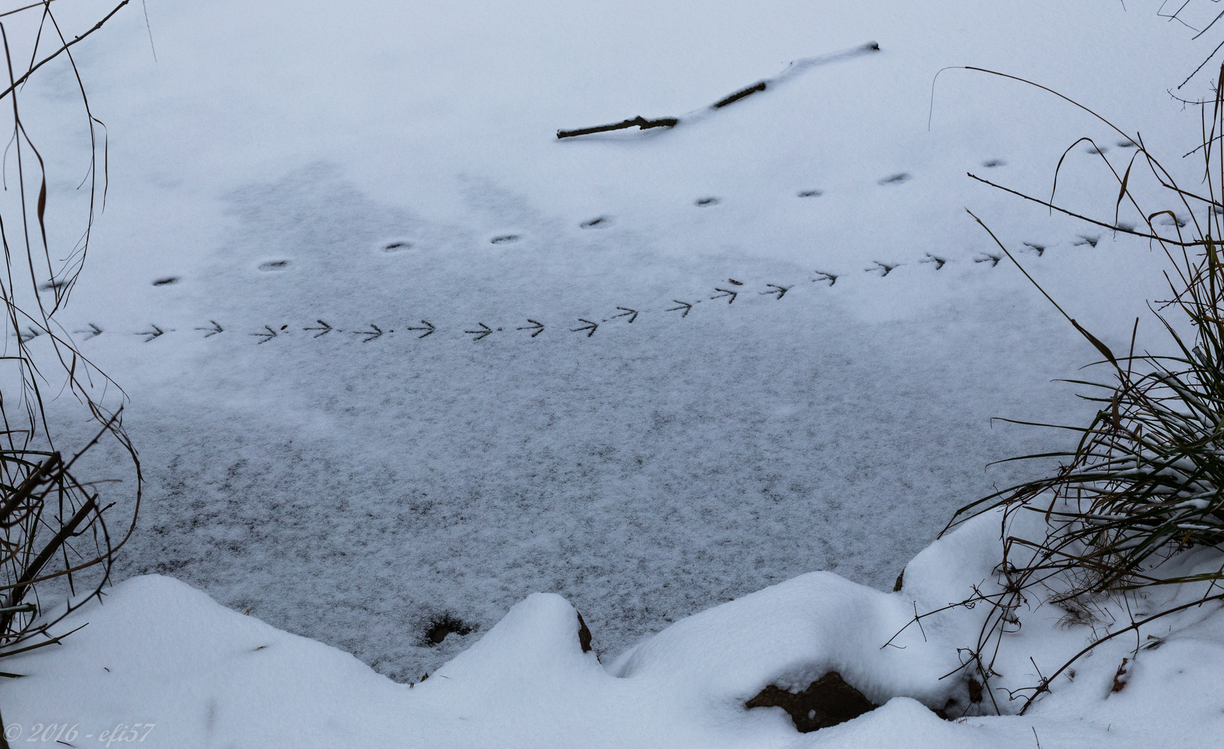 Spuren im Schnee