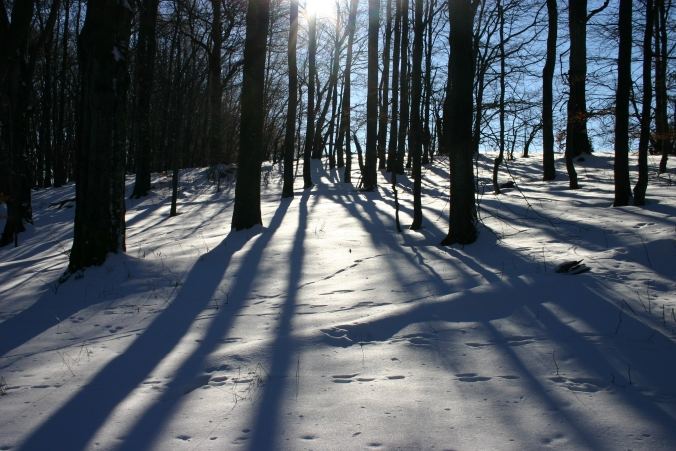 Spuren im Schnee