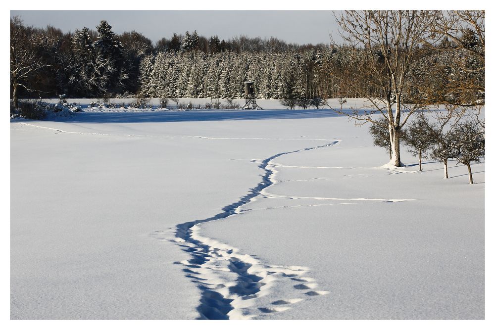 Spuren im Schnee