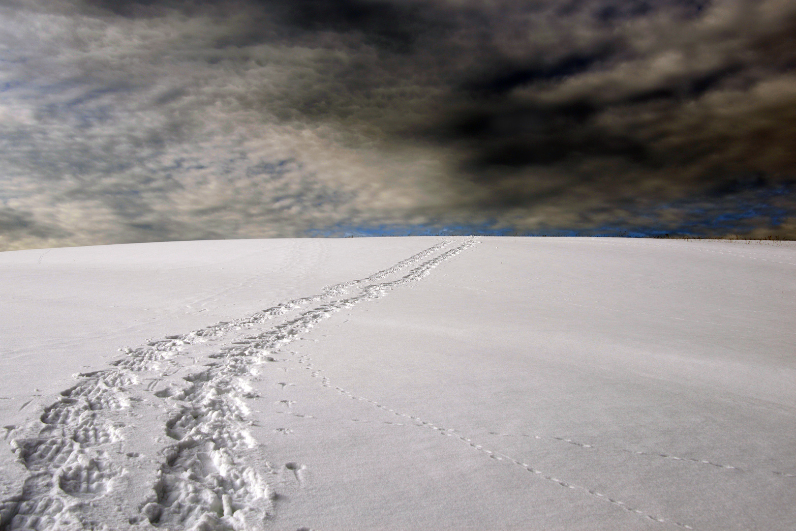 Spuren im Schnee