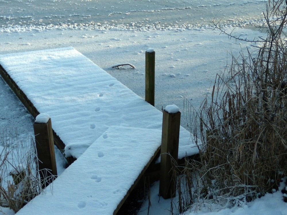 Spuren im Schnee.