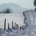 Spuren im Schnee