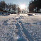 Spuren im Schnee