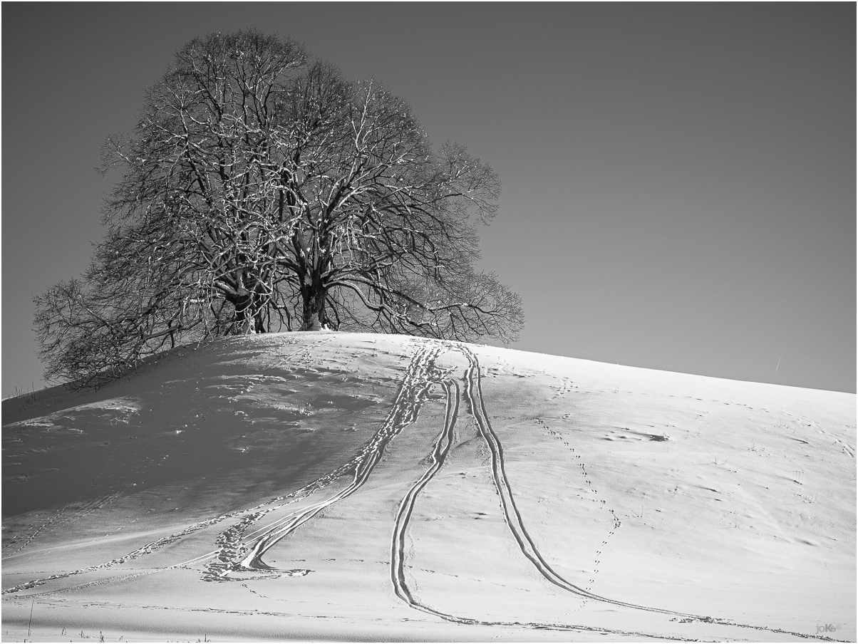 Spuren im Schnee