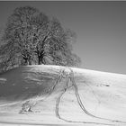 Spuren im Schnee