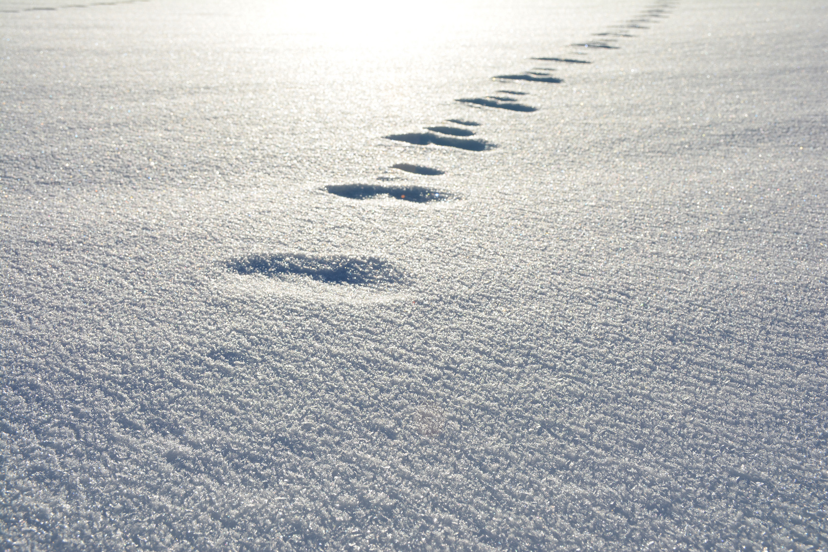 Spuren im Schnee