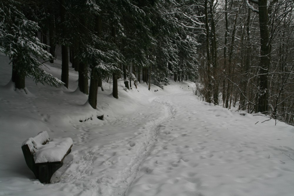 Spuren im Schnee von Nils Klinkau 