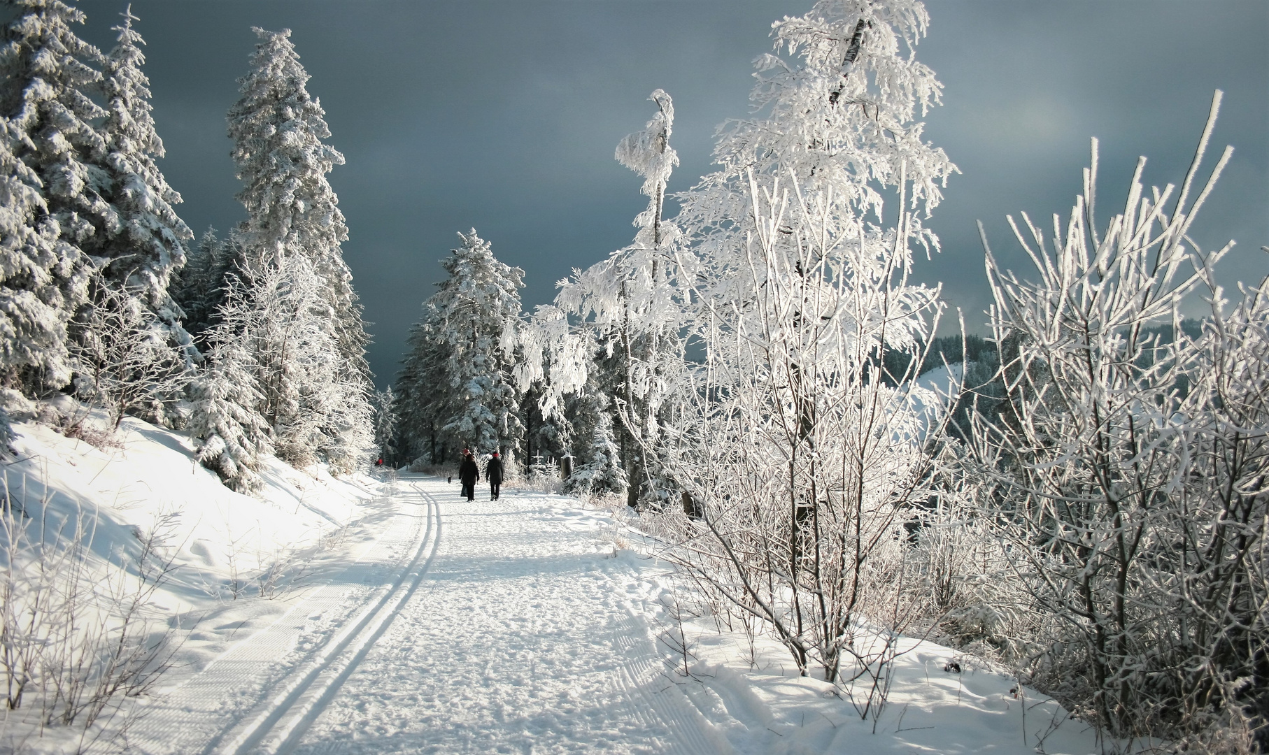 Spuren im Schnee