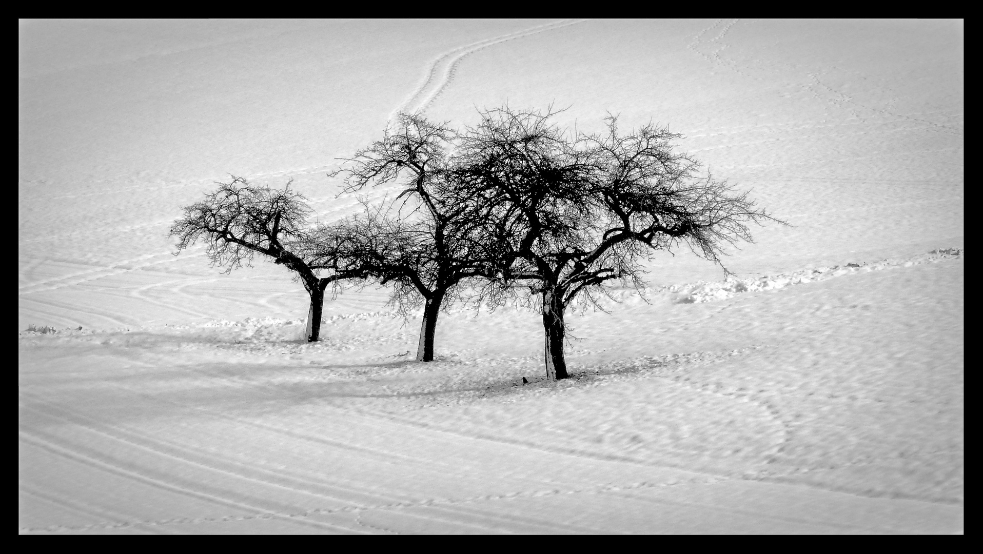 Spuren im Schnee