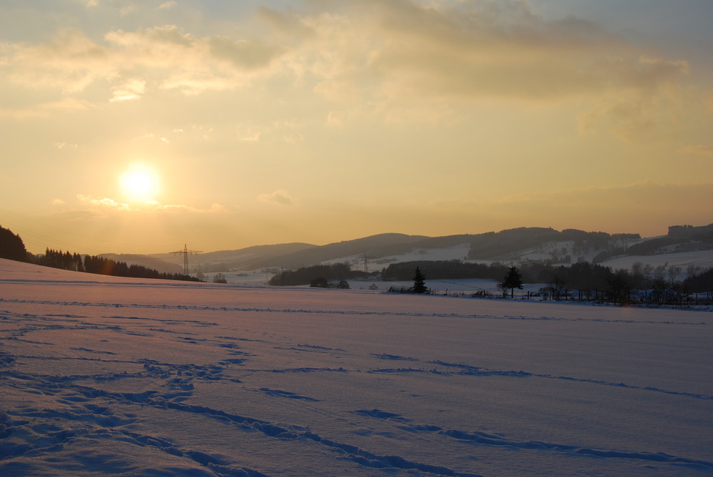 Spuren im Schnee