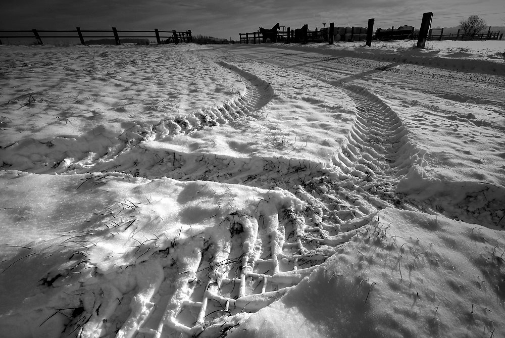 Spuren im Schnee