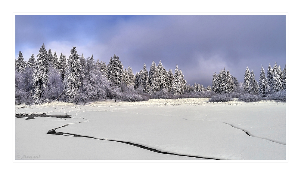 ~ Spuren im Schnee ~