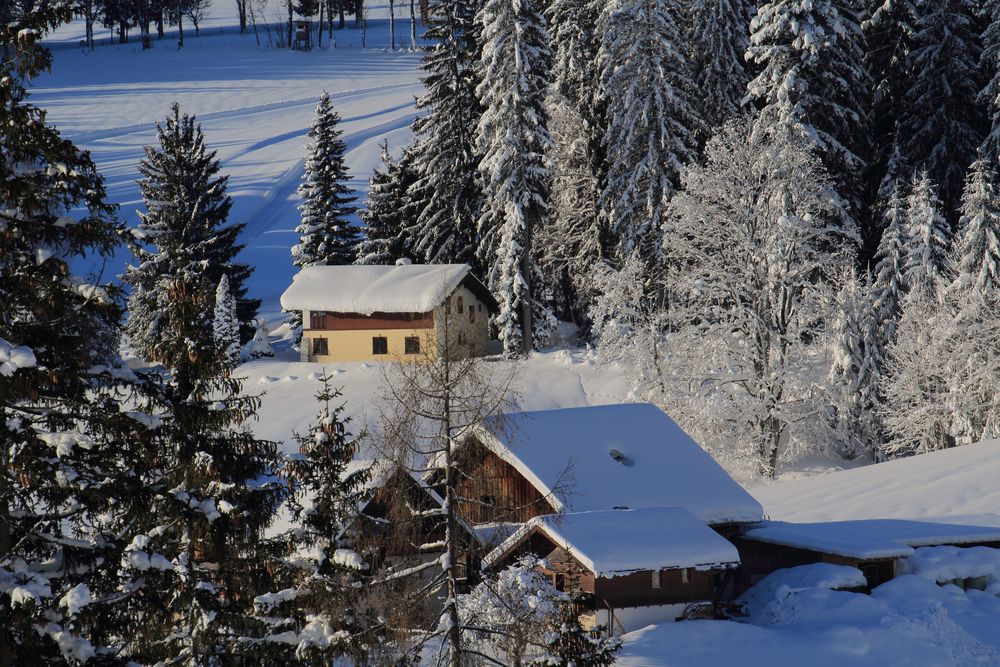 Spuren im Schnee 