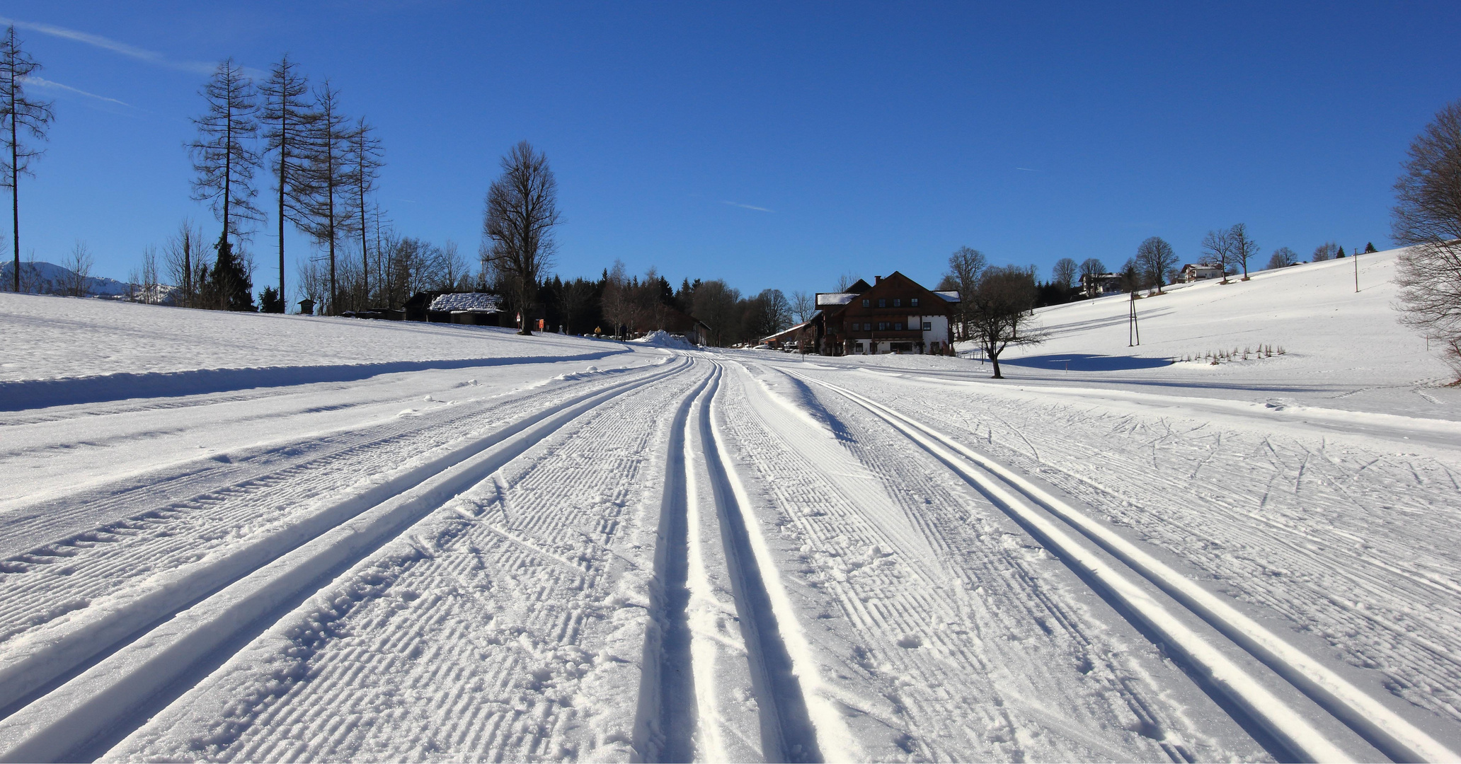 ~ Spuren im Schnee ~