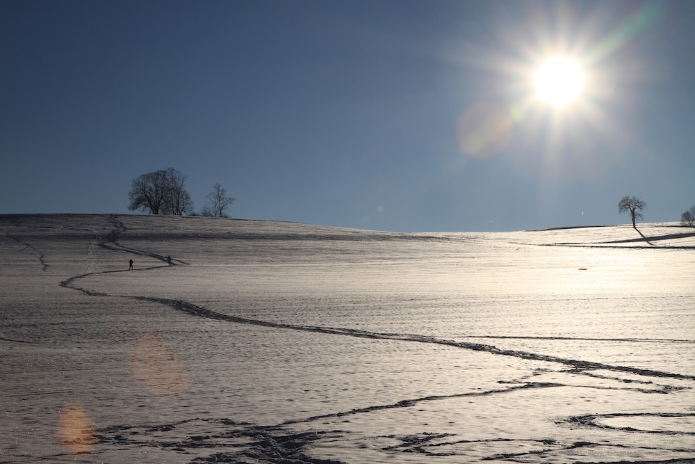 Spuren im Schnee