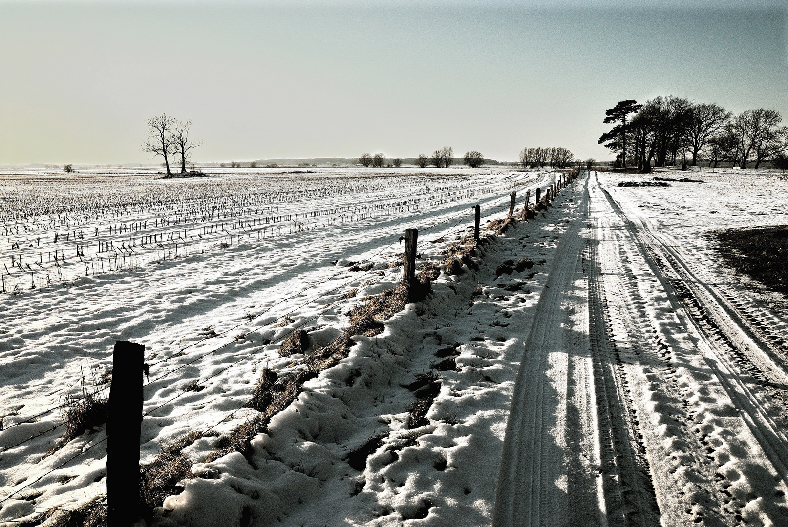 Spuren im Schnee