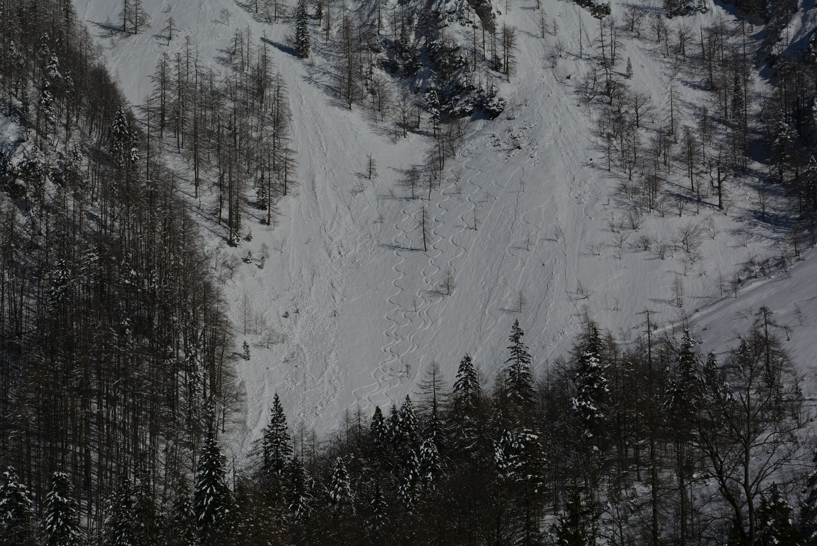 Spuren im Schnee