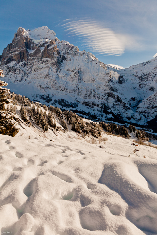 Spuren im Schnee