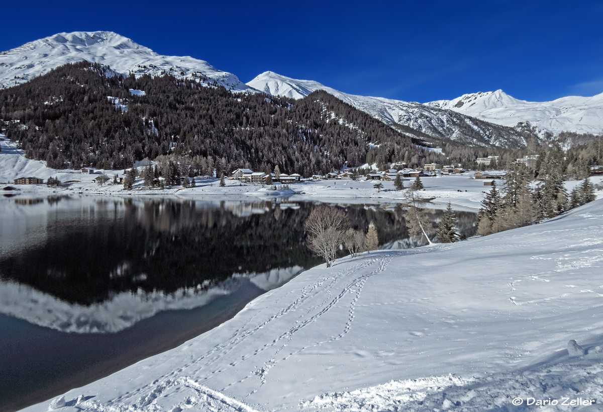 Spuren im Schnee