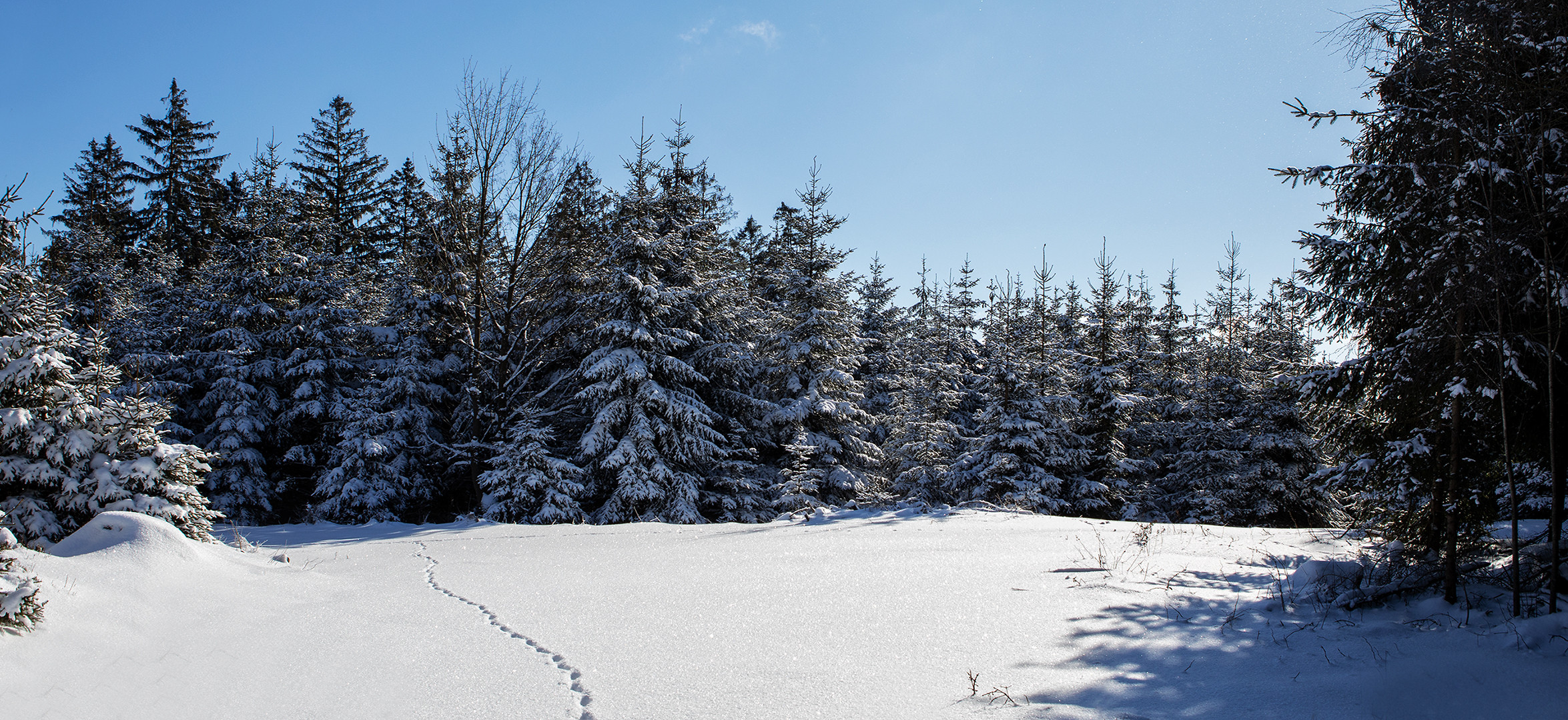 Spuren im Schnee