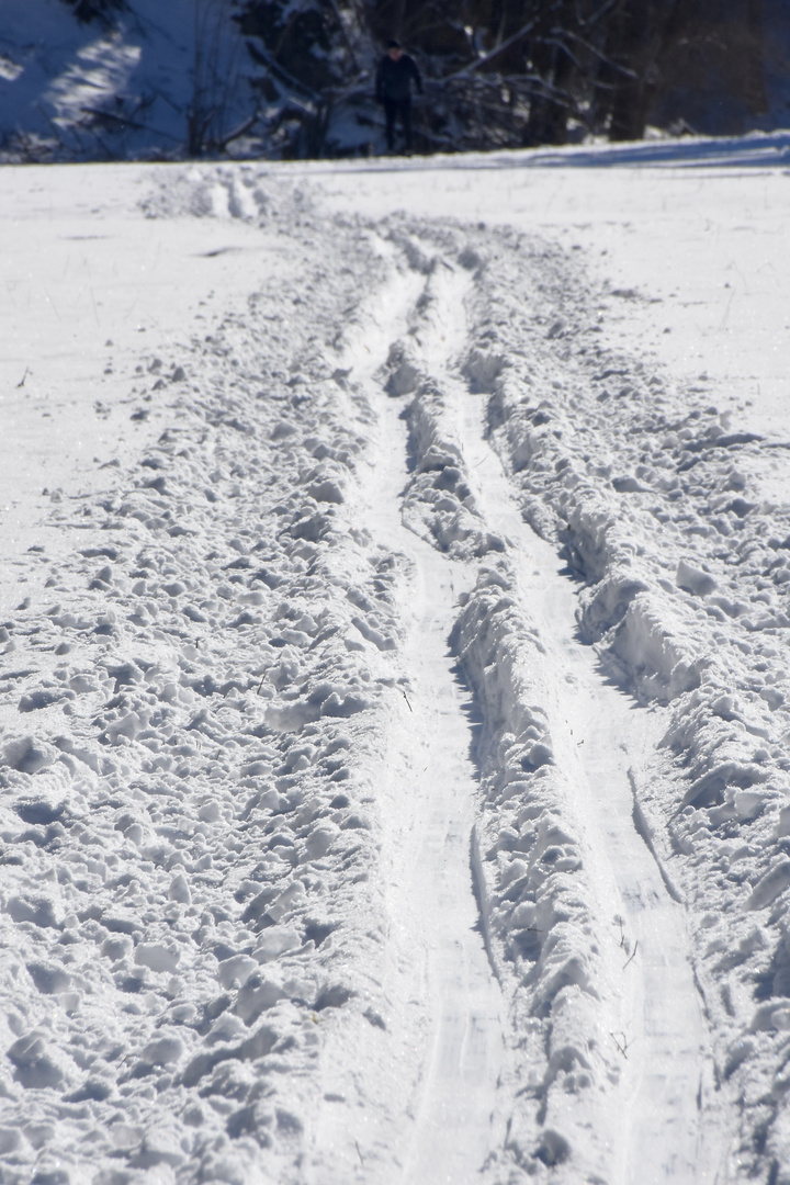 Spuren im Schnee