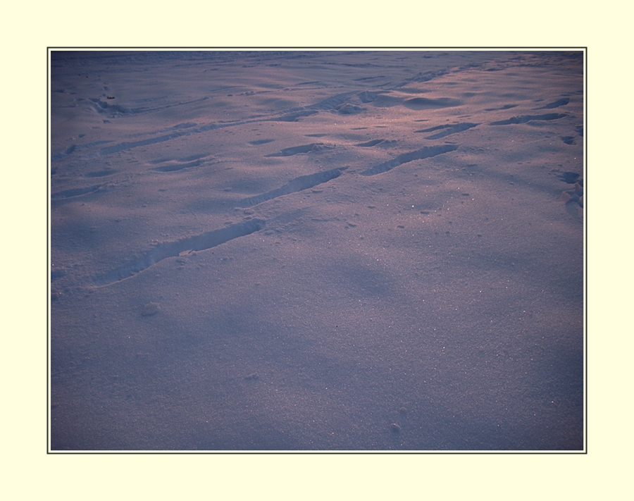 Spuren im Schnee