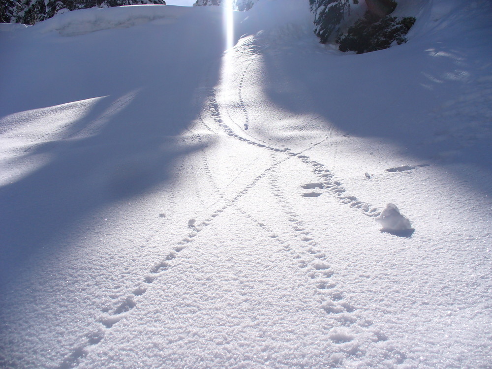 Spuren im Schnee