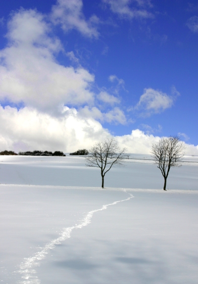 Spuren im Schnee