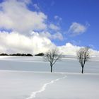 Spuren im Schnee