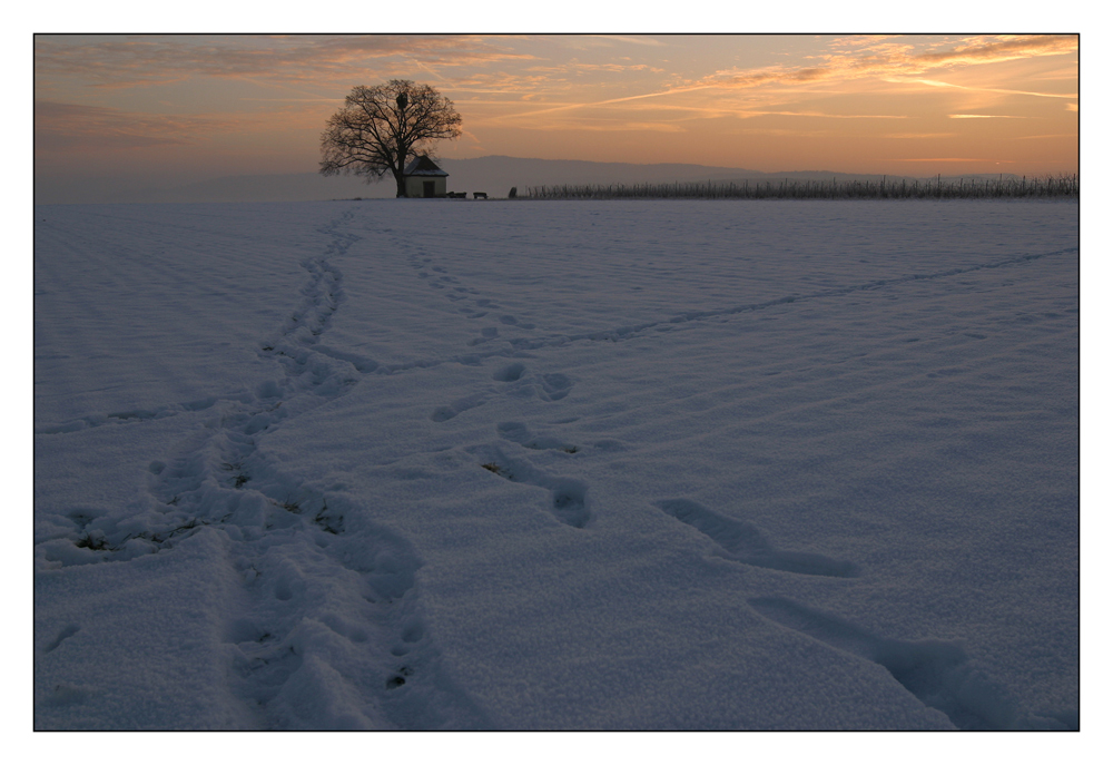 Spuren im Schnee