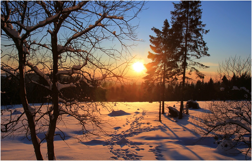 Spuren im Schnee