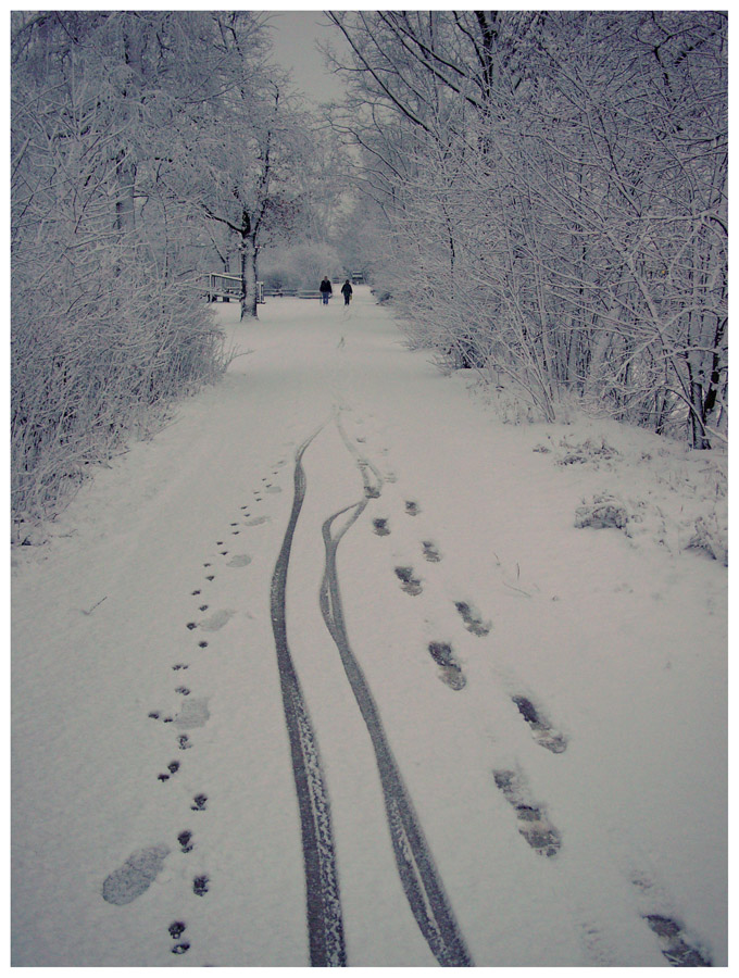 Spuren im Schnee