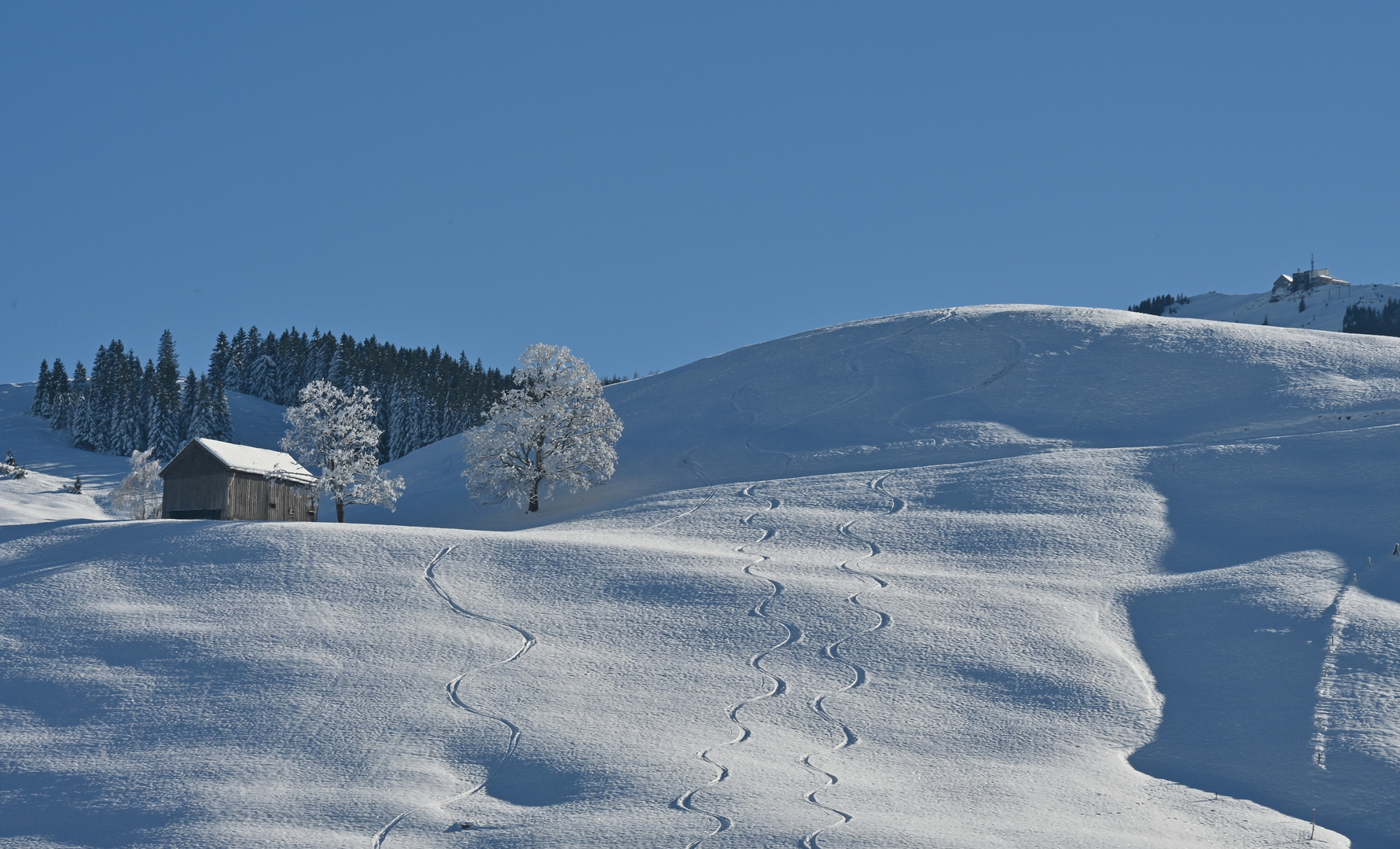 Spuren im Schnee