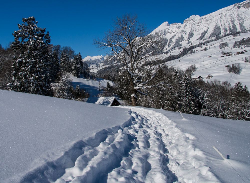 Spuren im Schnee