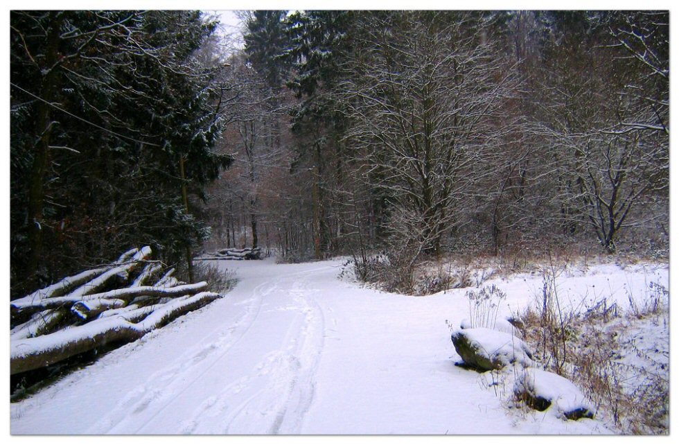 Spuren im Schnee