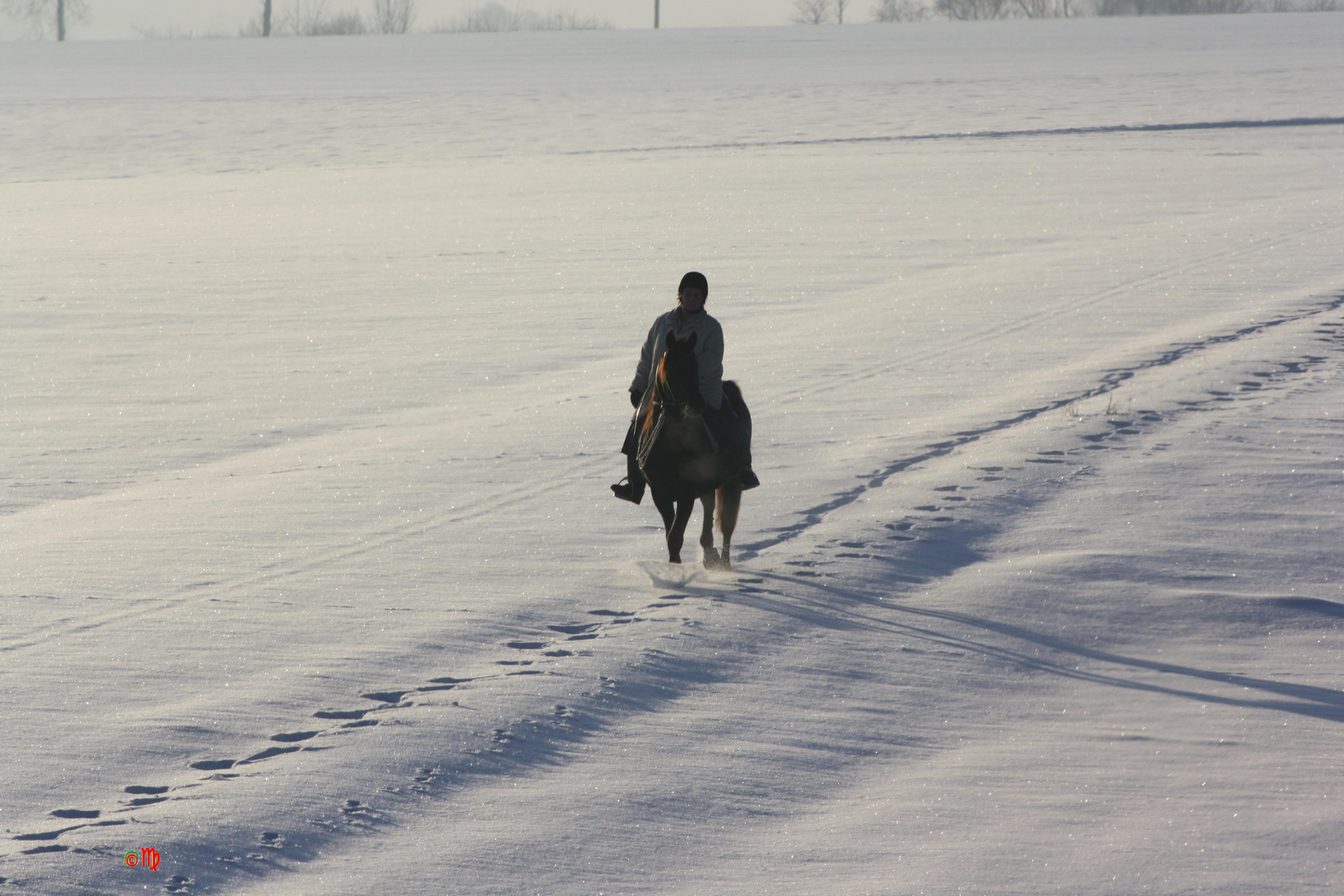 Spuren im Schnee