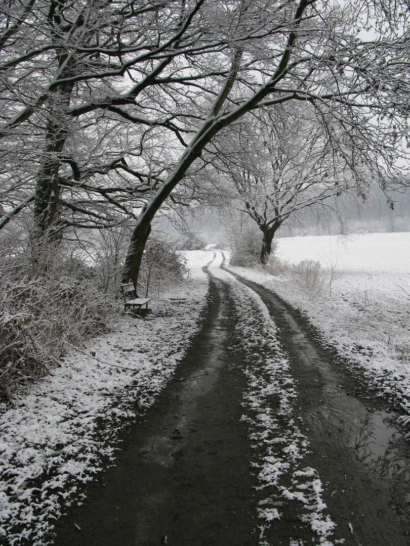 Spuren im Schnee