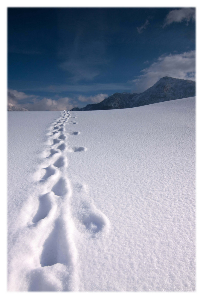 Spuren im Schnee