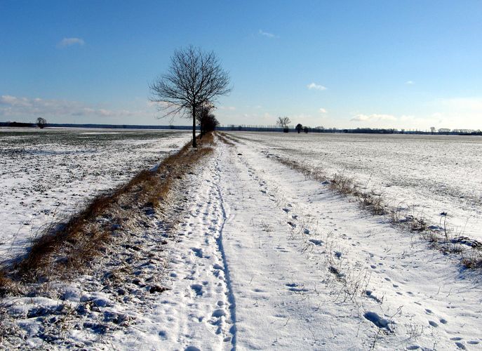 Spuren im Schnee