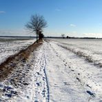 Spuren im Schnee