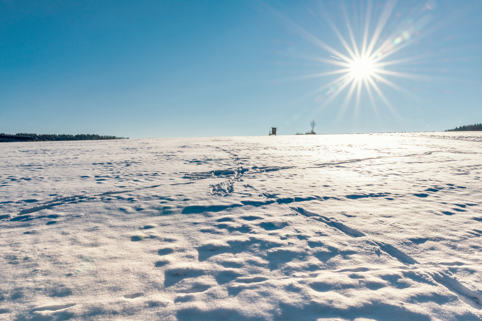 Spuren im Schnee