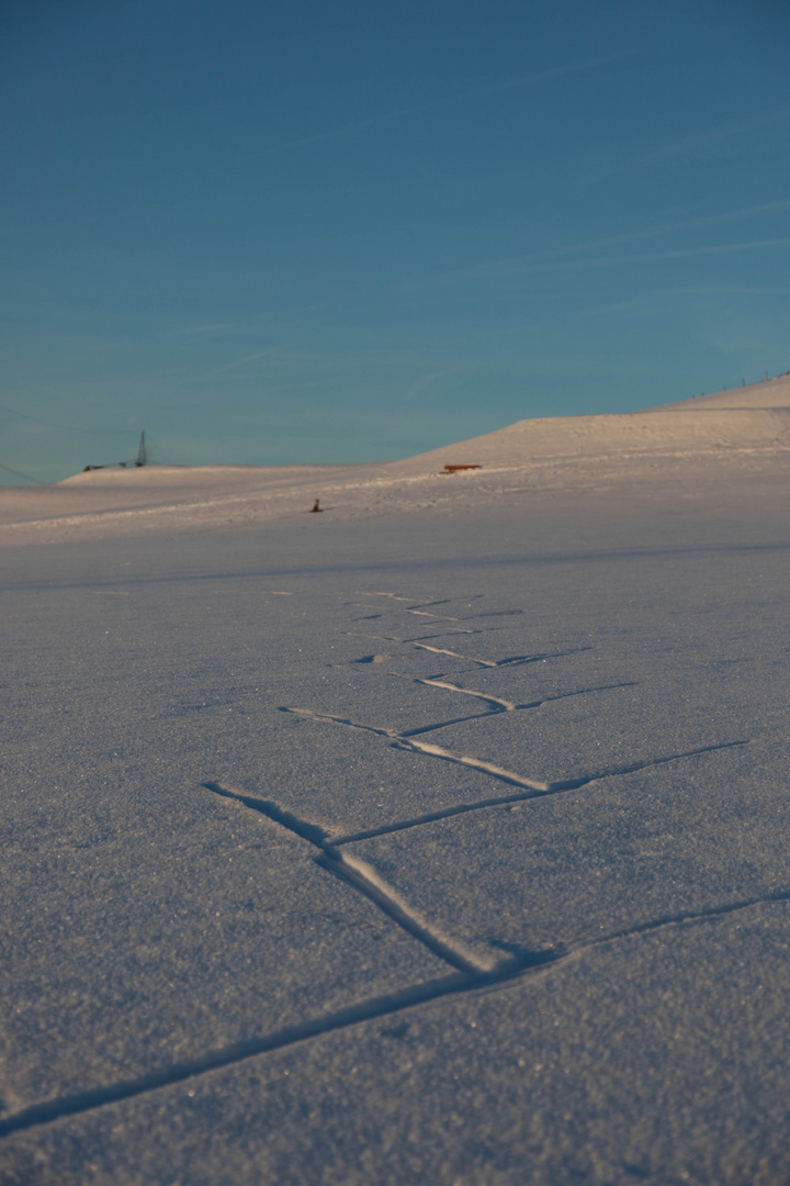 Spuren im Schnee ...