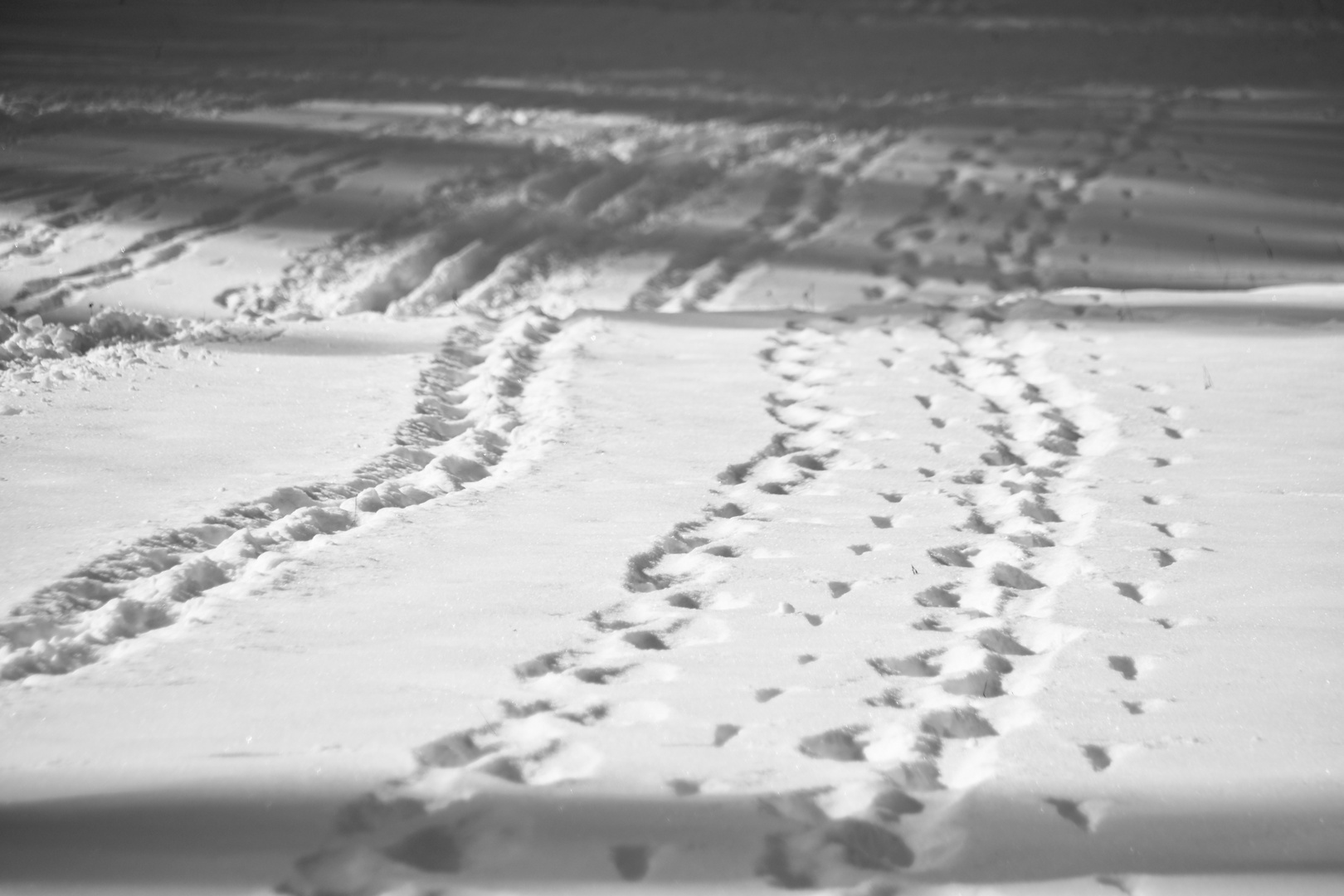 Spuren im Schnee