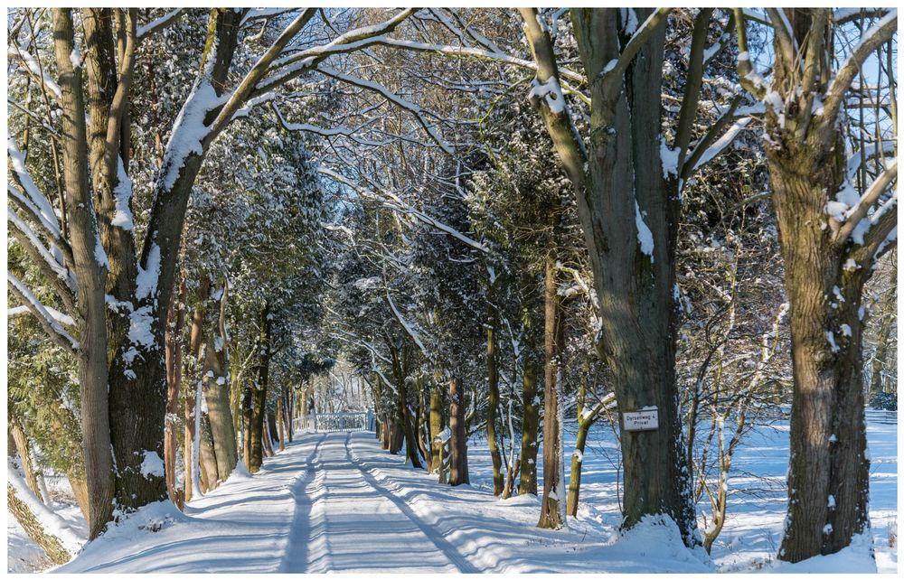 Spuren im Schnee